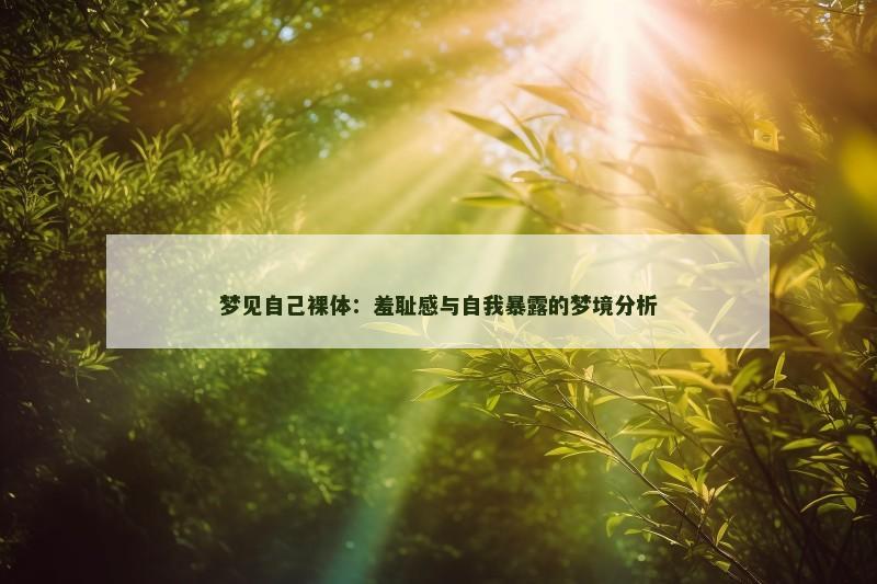 梦见自己裸体:羞耻感与自我暴露的梦境分析
