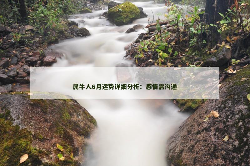 属牛人6月运势详细分析:感情需沟通