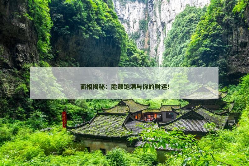 面相揭秘:脸颊饱满与你的财运!