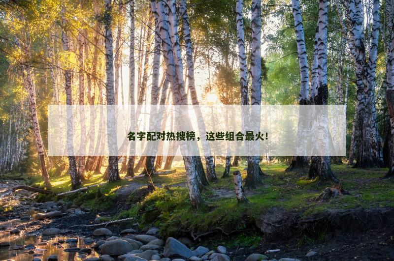 名字配对热搜榜，这些组合最火！