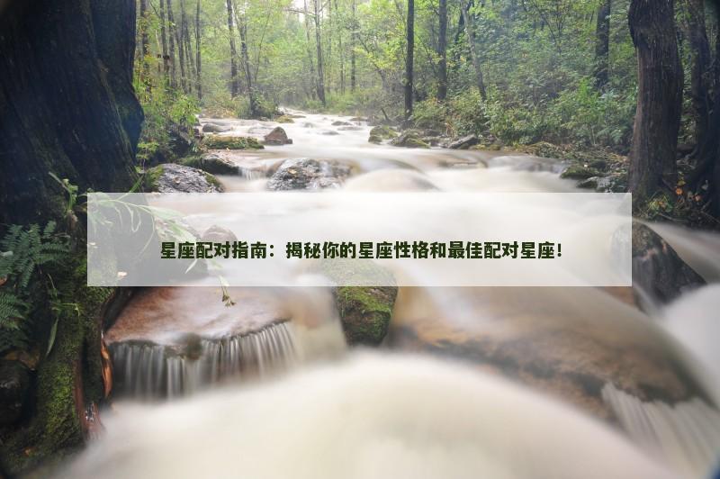 星座配对指南：揭秘你的星座性格和最佳配对星座！