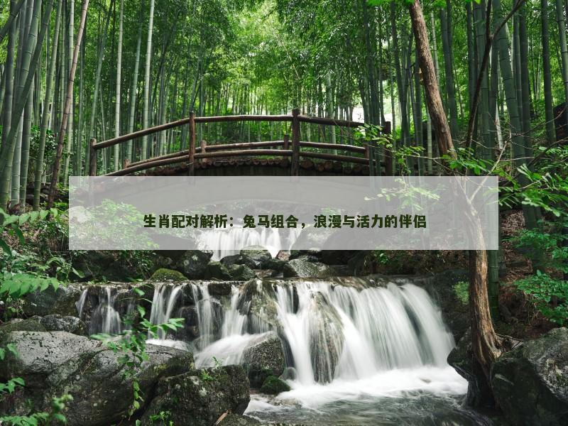 生肖配对解析：兔马组合，浪漫与活力的伴侣