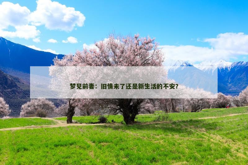 梦见前妻:旧情未了还是新生活的不安?