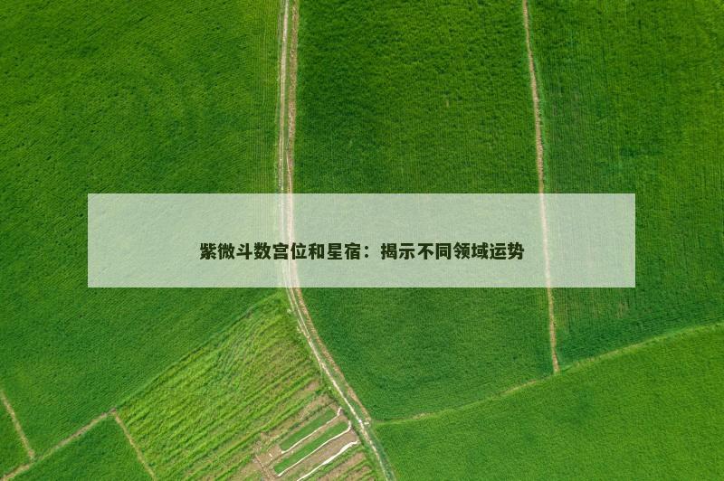 紫微斗数宫位和星宿：揭示不同领域运势