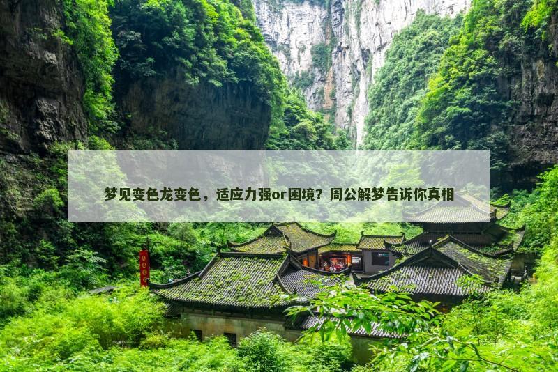 梦见变色龙变色，适应力强or困境？周公解梦告诉你真相