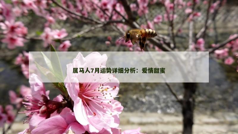 属马人7月运势详细分析：爱情甜蜜