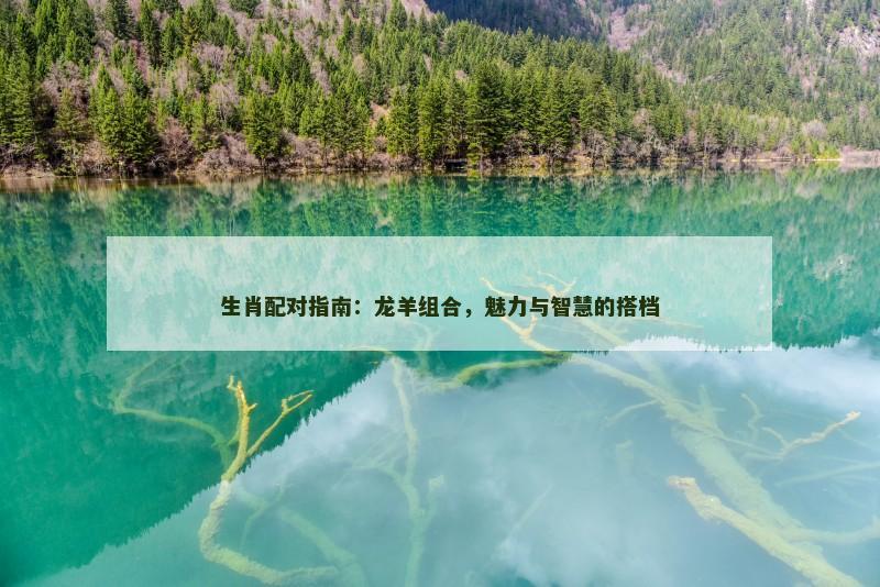 生肖配对指南：龙羊组合，魅力与智慧的搭档