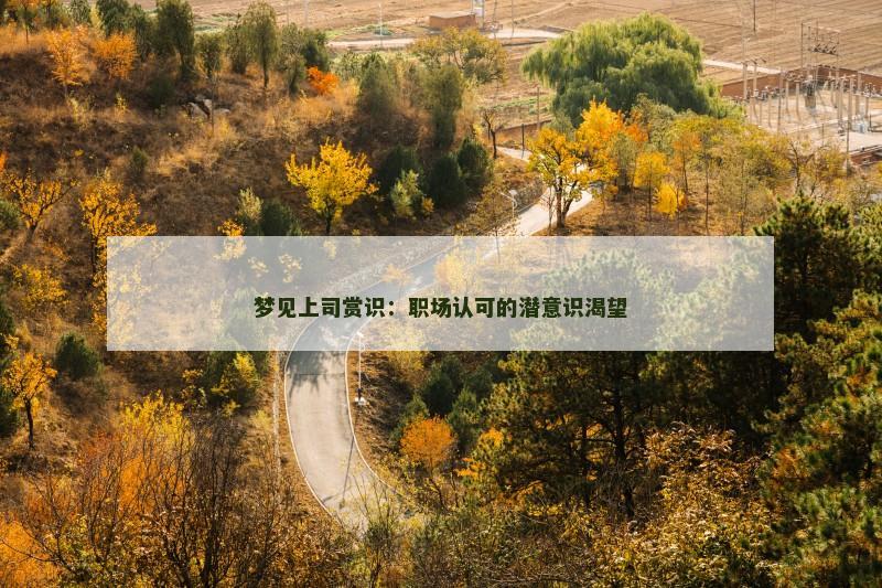 梦见上司赏识:职场认可的潜意识渴望