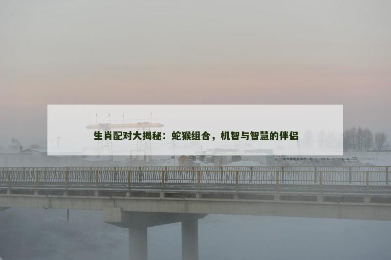 生肖配对大揭秘：蛇猴组合，机智与智慧的伴侣