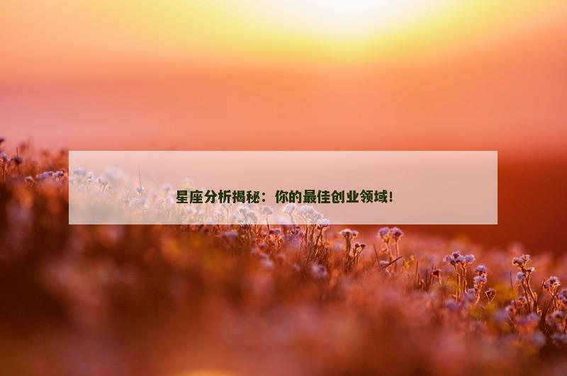 星座分析揭秘:你的最佳创业领域!