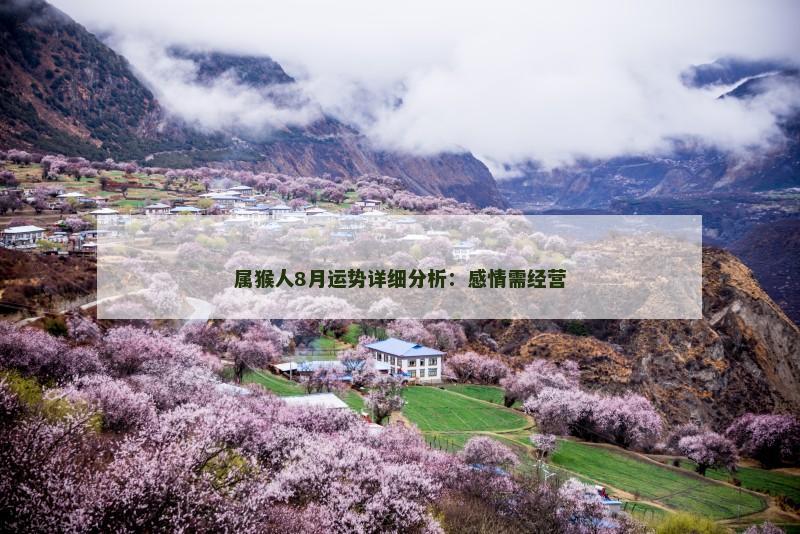 属猴人8月运势详细分析:感情需经营