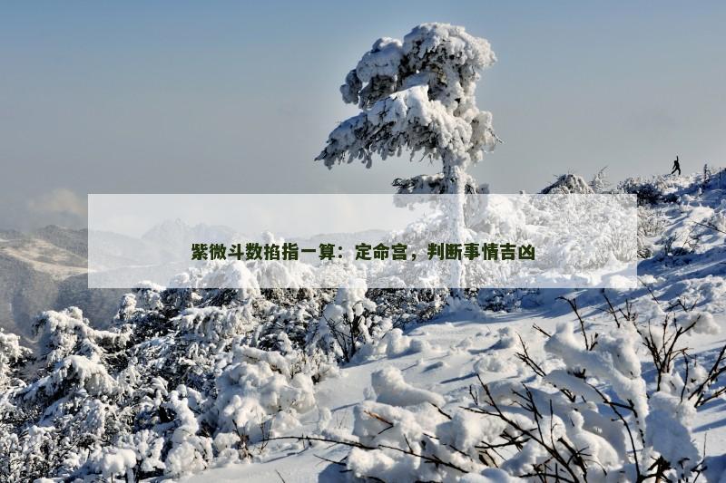 紫微斗数掐指一算:定命宫,判断事情吉凶