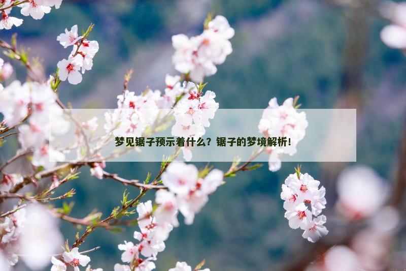 梦见锯子预示着什么?锯子的梦境解析!