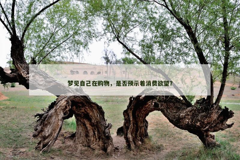 梦见自己在购物,是否预示着消费欲望?