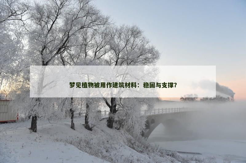 梦见植物被用作建筑材料:稳固与支撑?
