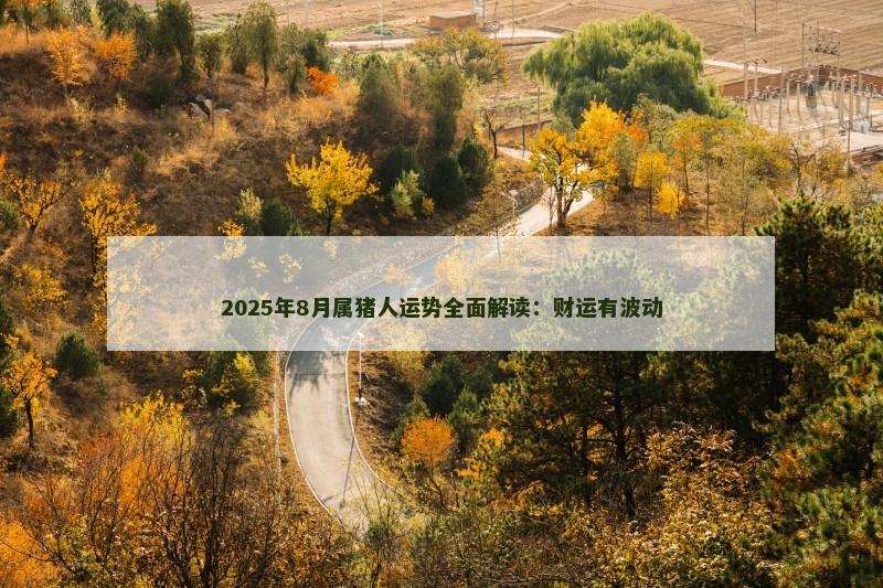 2025年8月属猪人运势全面解读:财运有波动