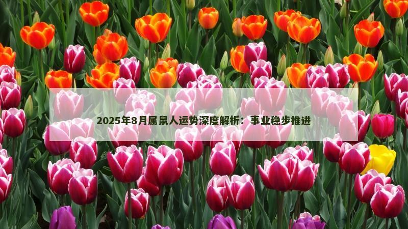 2025年8月属鼠人运势深度解析:事业稳步推进