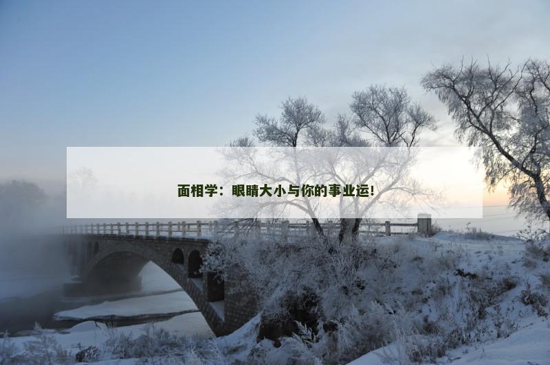 面相学:眼睛大小与你的事业运!