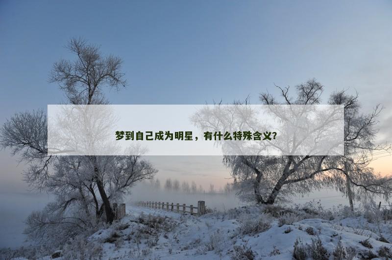 梦到自己成为明星,有什么特殊含义?