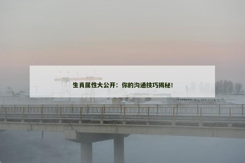 生肖属性大公开:你的沟通技巧揭秘!