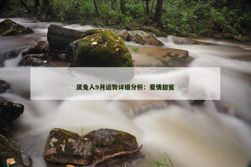 属兔人9月运势详细分析:爱情甜蜜