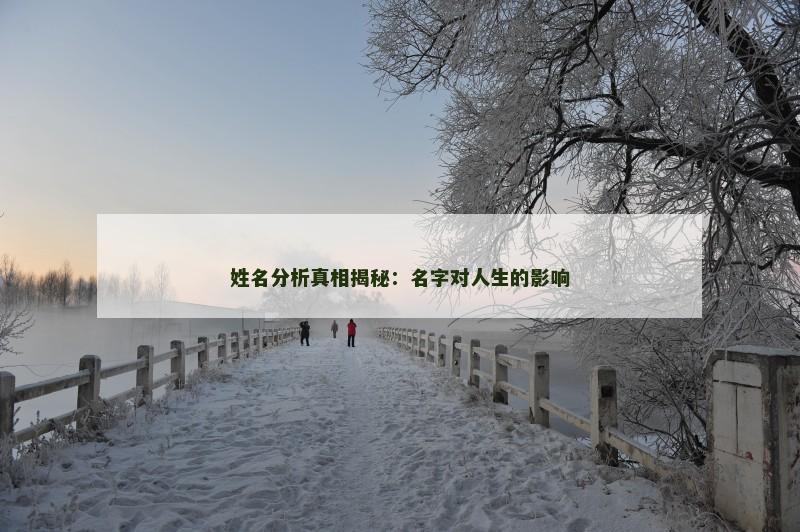 姓名分析真相揭秘：名字对人生的影响