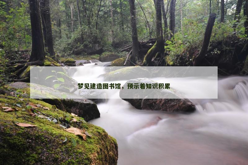 梦见建造图书馆,预示着知识积累