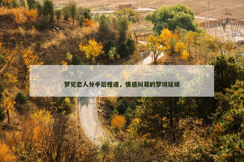 梦见恋人分手后相遇，情感纠葛的梦境延续