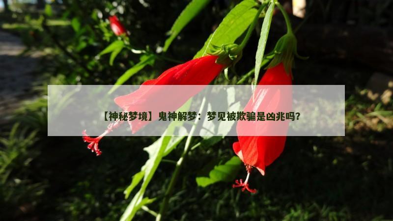 【神秘梦境】鬼神解梦:梦见被欺骗是凶兆吗?