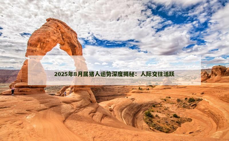 2025年8月属猪人运势深度揭秘:人际交往活跃