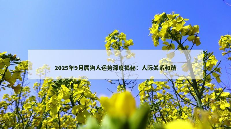 2025年9月属狗人运势深度揭秘:人际关系和谐