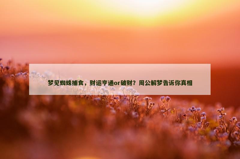 梦见蜘蛛捕食,财运亨通or破财?周公解梦告诉你真相