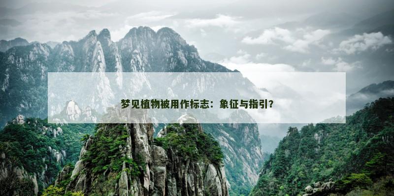 梦见植物被用作标志:象征与指引?