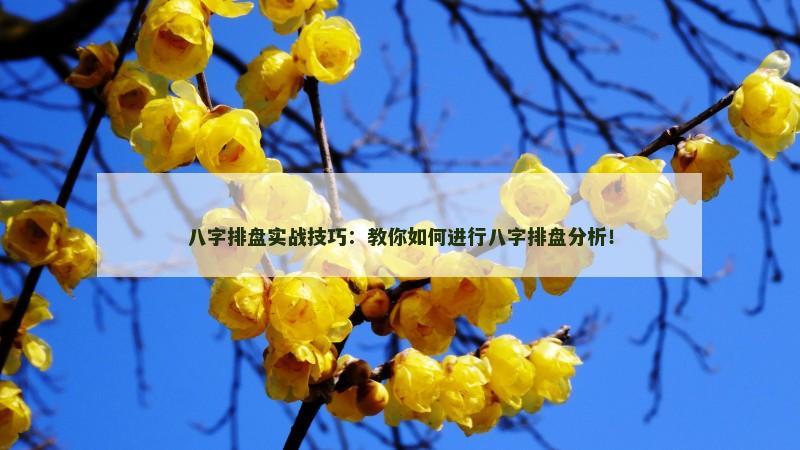 八字排盘实战技巧:教你如何进行八字排盘分析!