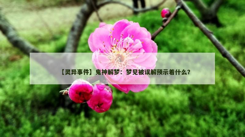 【灵异事件】鬼神解梦:梦见被误解预示着什么?