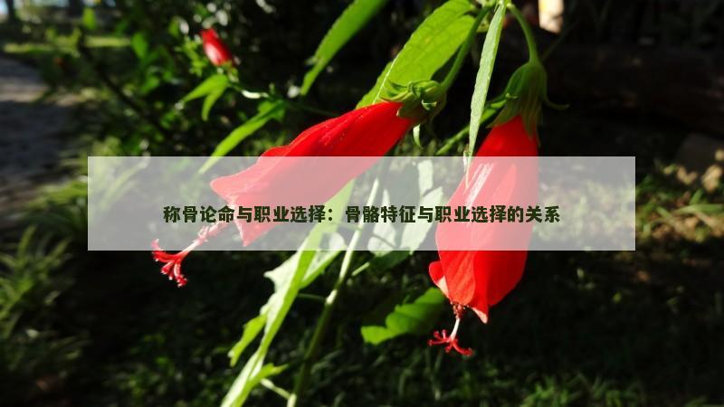 八字命格财富船(八字的财富层次决定人生财富程度)