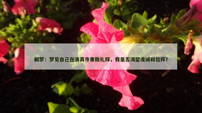 解梦:梦见自己在清真寺里做礼拜,我是否渴望虔诚和信仰?
