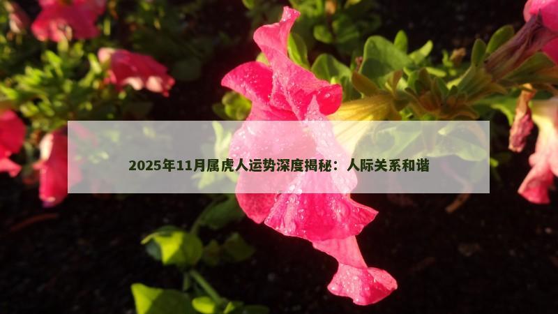 2025年11月属虎人运势深度揭秘:人际关系和谐