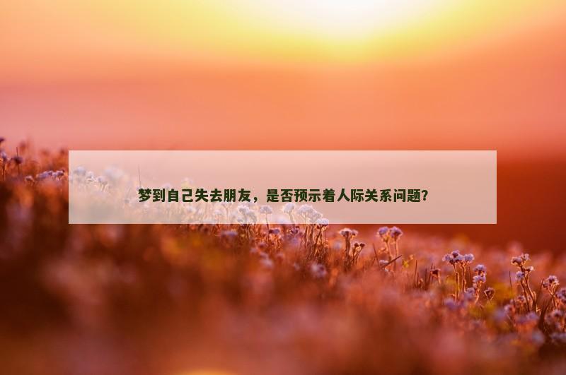 梦到自己失去朋友,是否预示着人际关系问题?