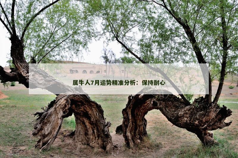 属牛人7月运势精准分析:保持耐心