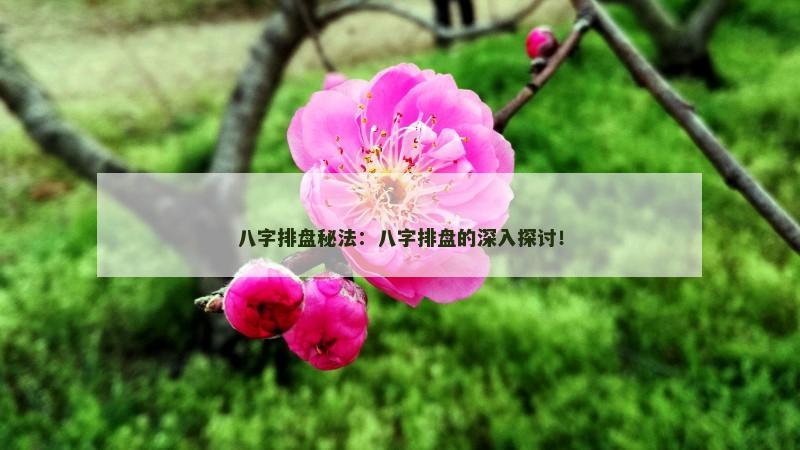 八字排盘秘法:八字排盘的深入探讨!