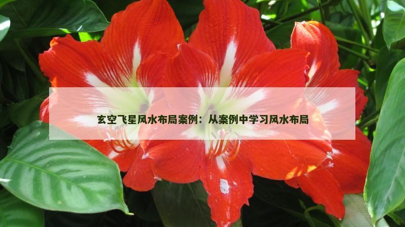 玄空飞星风水布局案例:从案例中学习风水布局