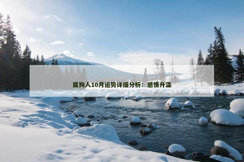 属狗人10月运势详细分析:感情升温