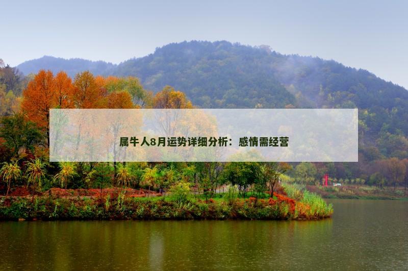 属牛人8月运势详细分析:感情需经营