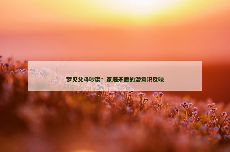 梦见父母吵架:家庭矛盾的潜意识反映