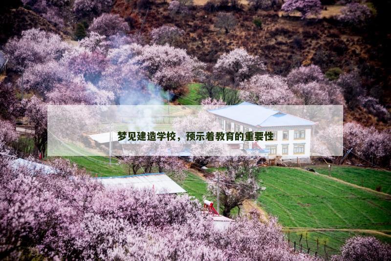 梦见建造学校,预示着教育的重要性
