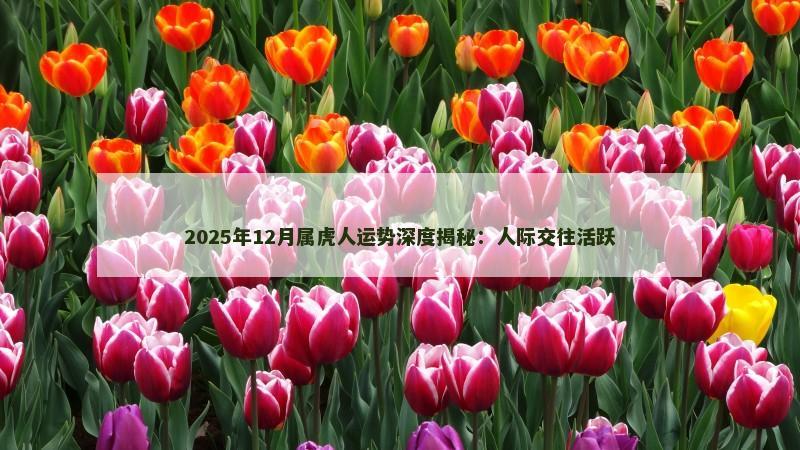 2025年12月属虎人运势深度揭秘:人际交往活跃