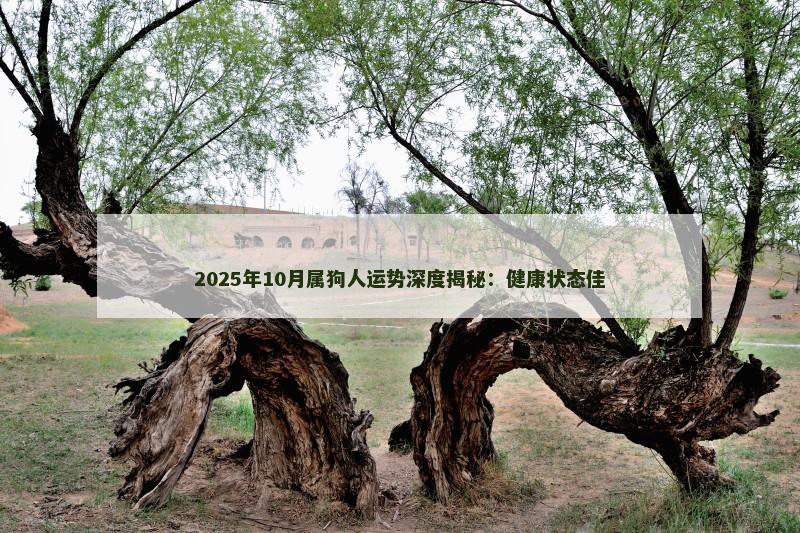 2025年10月属狗人运势深度揭秘:健康状态佳