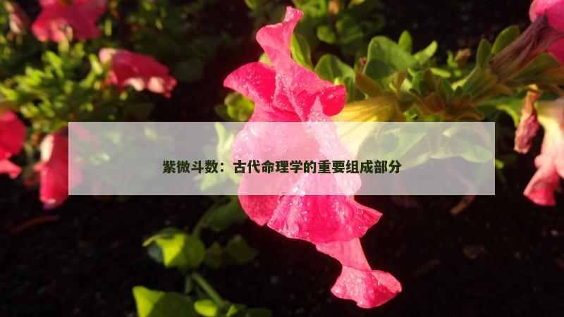 紫微斗数:古代命理学的重要组成部分