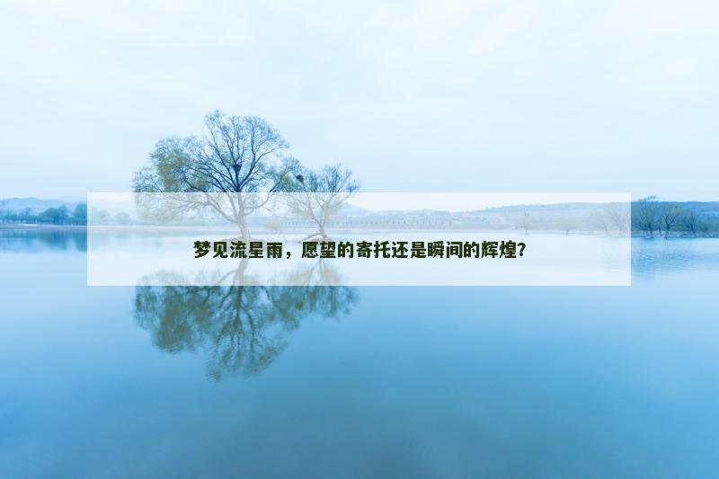 梦见流星雨,愿望的寄托还是瞬间的辉煌?